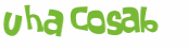 Wyzwanie captcha