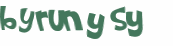 CAPTCHA 挑戰