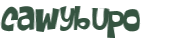 Captcha-test