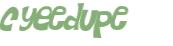 CAPTCHA 挑戰