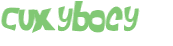 CAPTCHA 挑戰