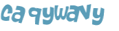 Wyzwanie captcha