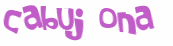 Desafio captcha