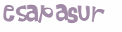 Sfida captcha