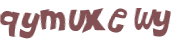 CAPTCHA 挑戰