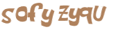 Sfida captcha