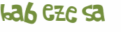 Captcha challenge