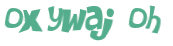 Captcha 챌린지