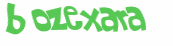Captcha 챌린지