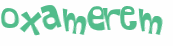 CAPTCHA 挑戰