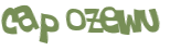 Captchafråga