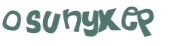 Wyzwanie captcha
