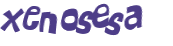 CAPTCHA 挑戰