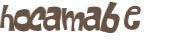 Captcha 챌린지