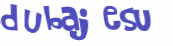 Desafio captcha