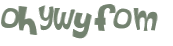 CAPTCHA 挑戰
