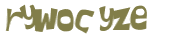 CAPTCHA 挑戰
