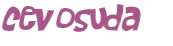 CAPTCHA 挑戰