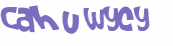 Captcha 챌린지