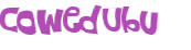 Captcha-Test