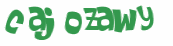 Desafio Captcha