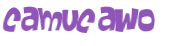 Captcha-Test