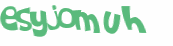 Desafio captcha