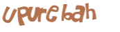 Captcha 챌린지