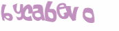 Captcha 챌린지