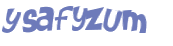 Captcha 챌린지