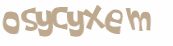 CAPTCHA 挑戰