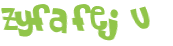 Wyzwanie captcha