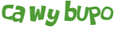 Captcha 챌린지
