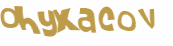 Captcha 챌린지