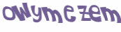 CAPTCHA 挑戰