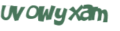 Prueba Captcha