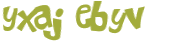 CAPTCHA 挑戰