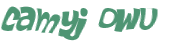 Wyzwanie captcha