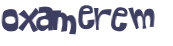 CAPTCHA 挑戰