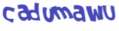 CAPTCHA 挑戰