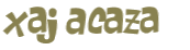 CAPTCHA 挑戰