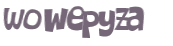 Wyzwanie captcha