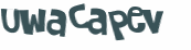 CAPTCHA 挑戰
