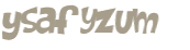 CAPTCHA 挑戰