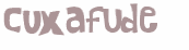 CAPTCHA 挑戰