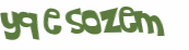 Desafio captcha