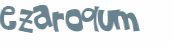 CAPTCHA 挑戰
