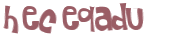 Desafio captcha