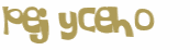 Desafio Captcha