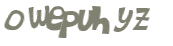 CAPTCHA 挑戰